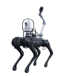 B1 Robot Dog Image