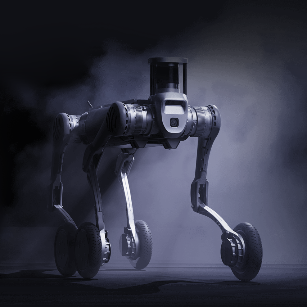 BEAR-W™ Educational Robot Image